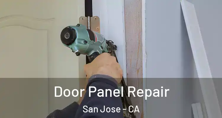  Door Panel Repair San Jose - CA