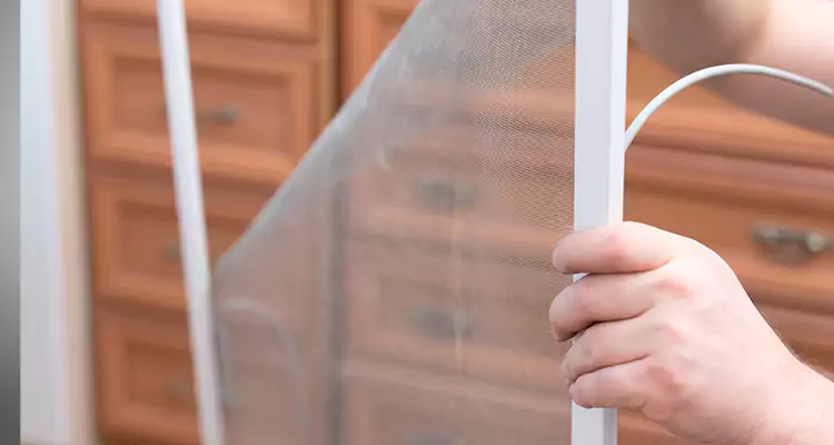 Privacy Mesh Screen Door Installation in San Jose, CA