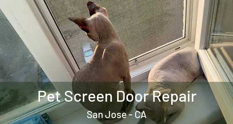  Pet Screen Door Repair San Jose - CA